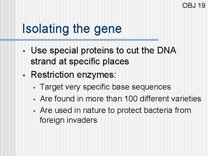 OBJ 19 Isolating the gene • • Use special proteins to cut the DNA
