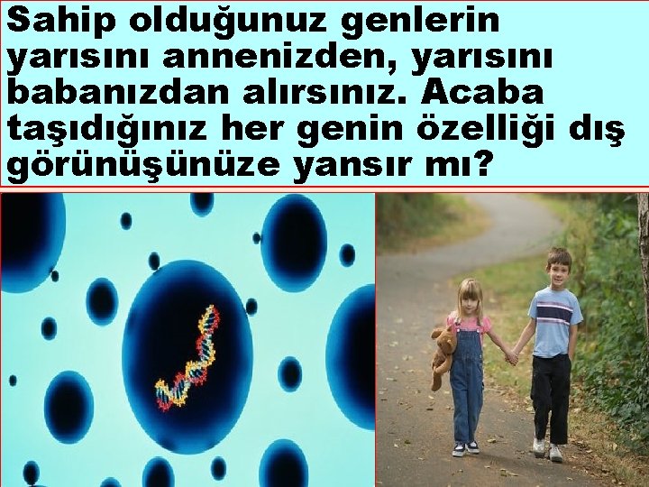 Sahip olduğunuz genlerin yarısını annenizden, yarısını babanızdan alırsınız. Acaba taşıdığınız her genin özelliği dış