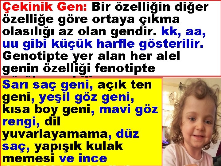 Çekinik Gen: Bir özelliğin diğer özelliğe göre ortaya çıkma olasılığı az olan gendir. kk,