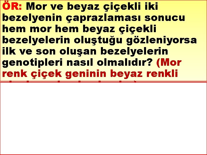 ÖR: Mor ve beyaz çiçekli iki bezelyenin çaprazlaması sonucu hem mor hem beyaz çiçekli