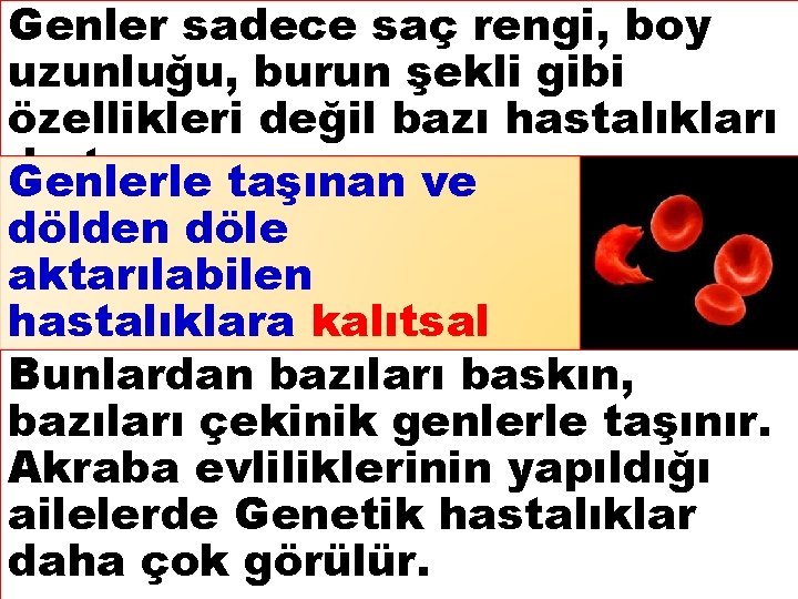 Genler sadece saç rengi, boy uzunluğu, burun şekli gibi özellikleri değil bazı hastalıkları da