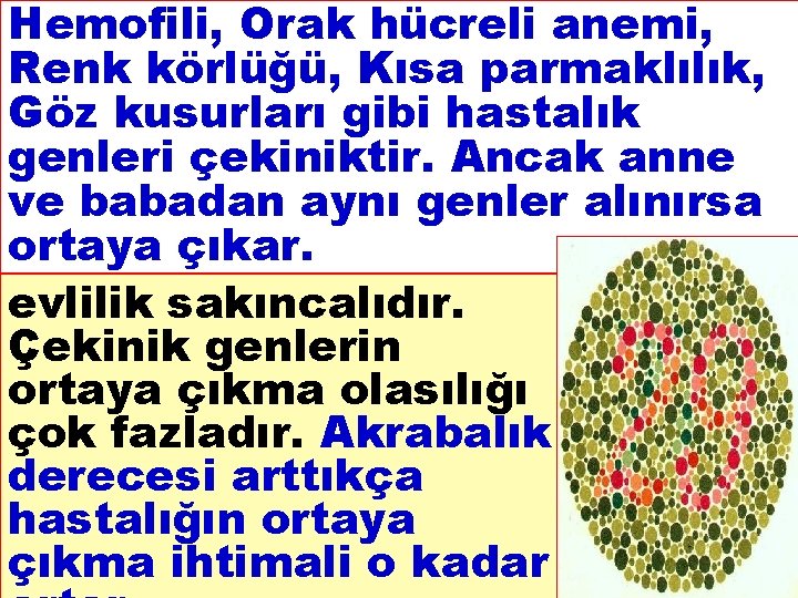 Hemofili, Orak hücreli anemi, Renk körlüğü, Kısa parmaklılık, Göz kusurları gibi hastalık genleri çekiniktir.