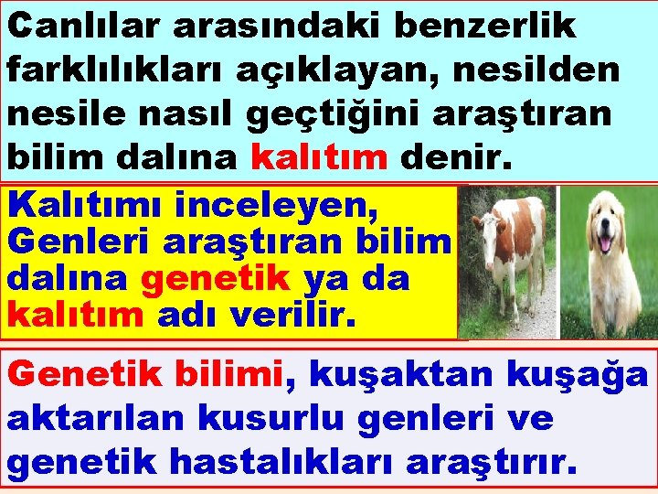 Canlılar arasındaki benzerlik farklılıkları açıklayan, nesilden nesile nasıl geçtiğini araştıran bilim dalına kalıtım denir.