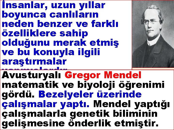 İnsanlar, uzun yıllar boyunca canlıların neden benzer ve farklı özelliklere sahip olduğunu merak etmiş