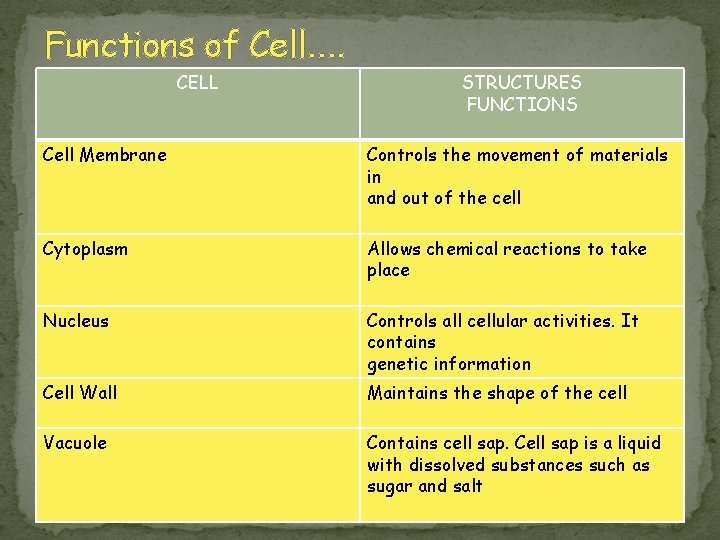 Functions of Cell…. CELL STRUCTURES FUNCTIONS Cell Membrane Controls the movement of materials in