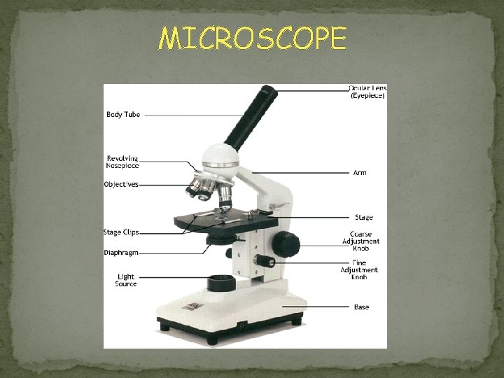 MICROSCOPE 