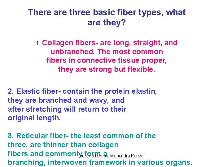 There are three basic fiber types, what are they? 1. Collagen fibers- are long, There are three basic fiber types, what are they? 1. Collagen fibers- are long,