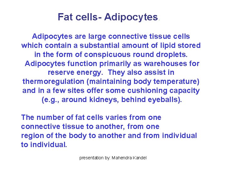 Fat cells- Adipocytes are large connective tissue cells which contain a substantial amount of Fat cells- Adipocytes are large connective tissue cells which contain a substantial amount of