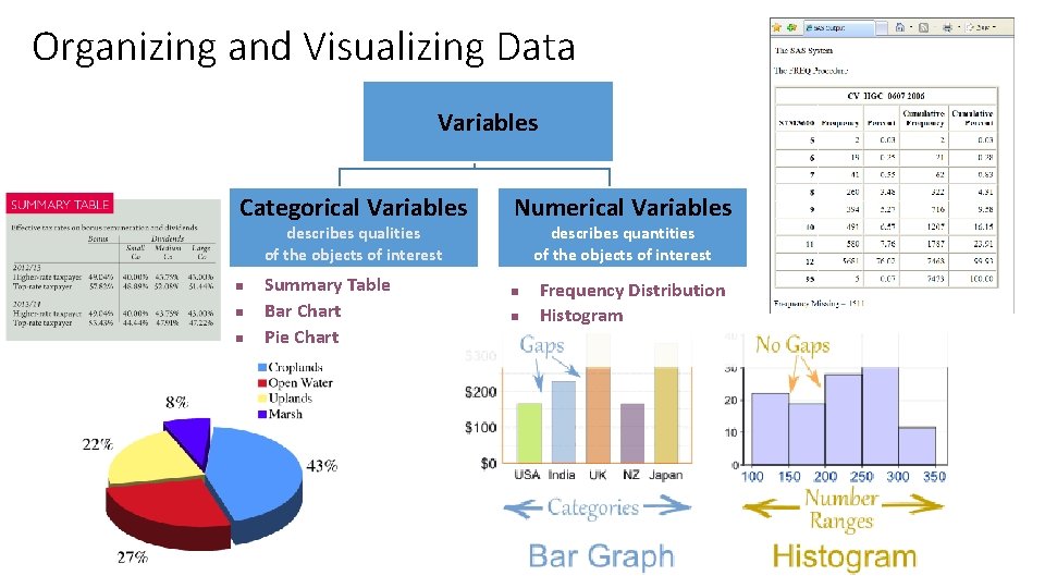 Organizing and Visualizing Data Variables Categorical Variables describes qualities of the objects of interest