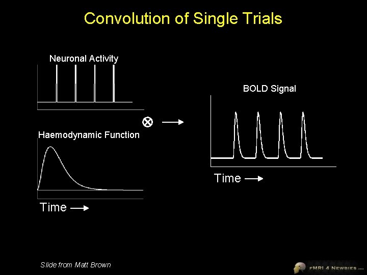 Convolution of Single Trials Neuronal Activity BOLD Signal Haemodynamic Function Time Slide from Matt