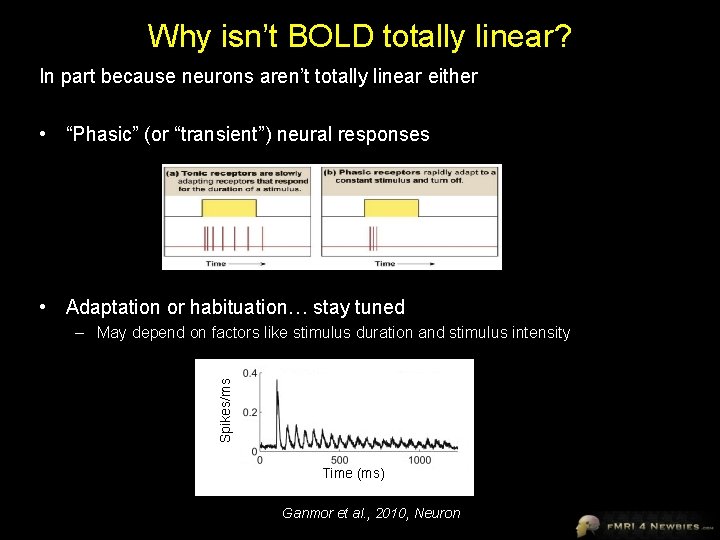 Why isn’t BOLD totally linear? In part because neurons aren’t totally linear either •
