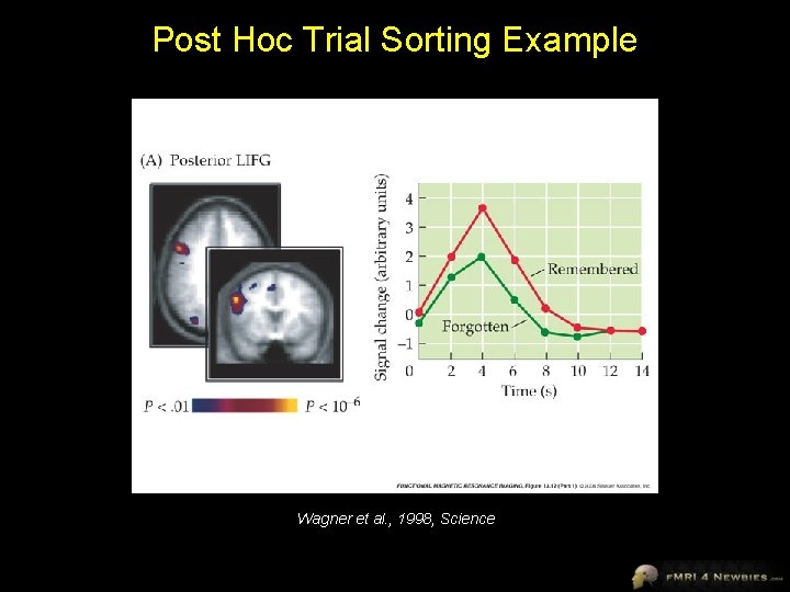 Post Hoc Trial Sorting Example Wagner et al. , 1998, Science 