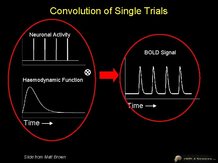 Convolution of Single Trials Neuronal Activity BOLD Signal Haemodynamic Function Time Slide from Matt
