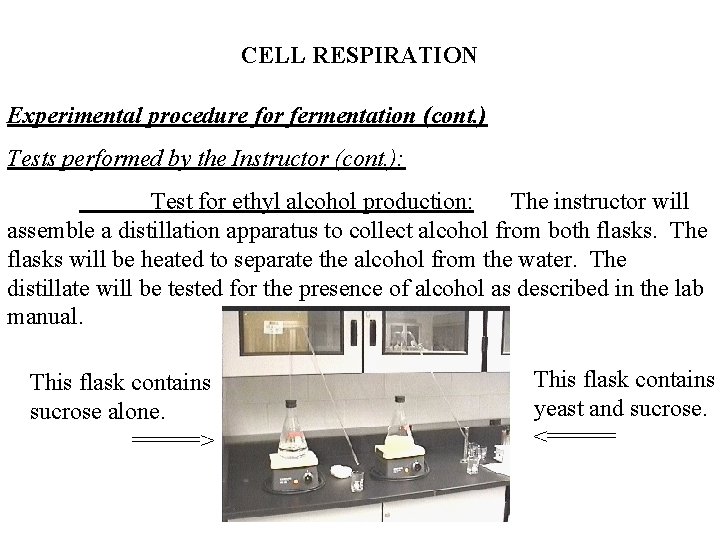 CELL RESPIRATION Experimental procedure for fermentation (cont. ) Tests performed by the Instructor (cont.