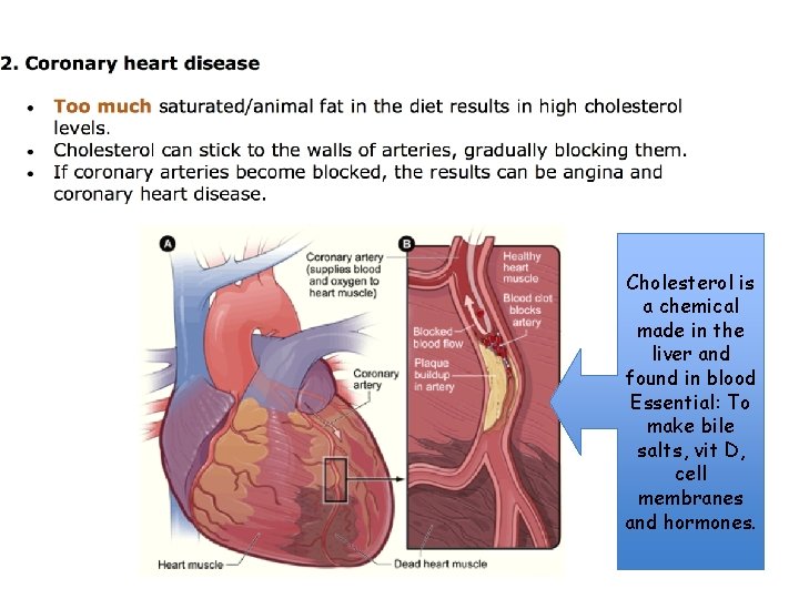 Cholesterol is a chemical made in the liver and found in blood Essential: To