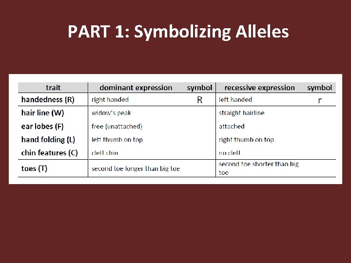 PART 1: Symbolizing Alleles 