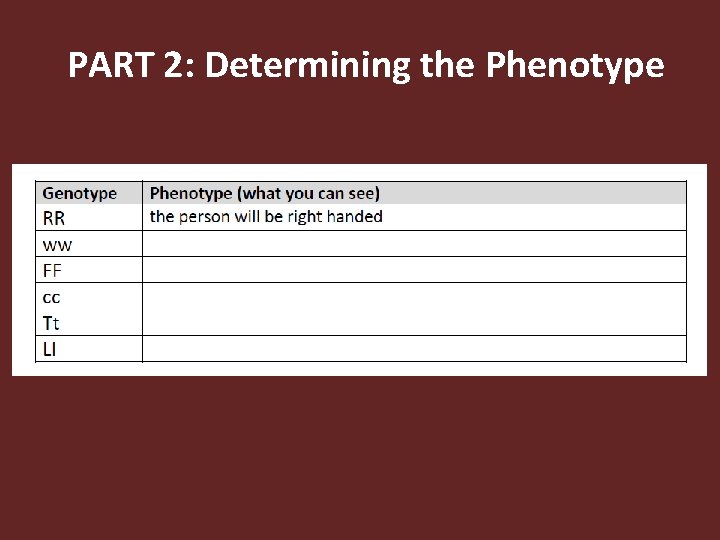 PART 2: Determining the Phenotype 