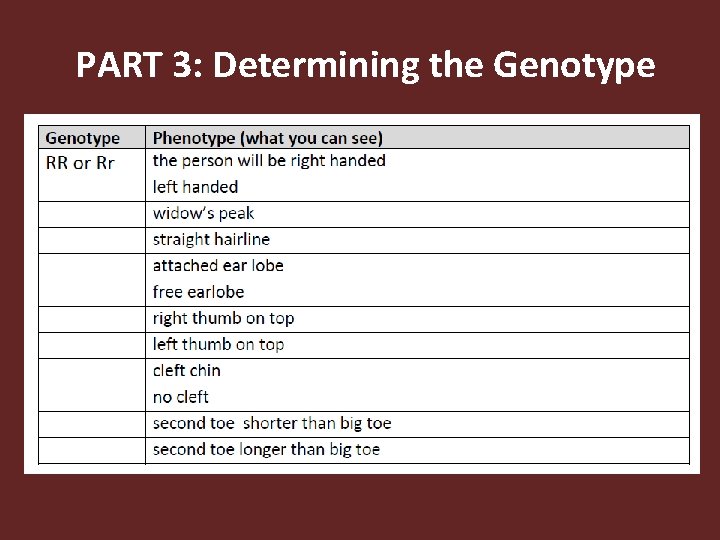 PART 3: Determining the Genotype 