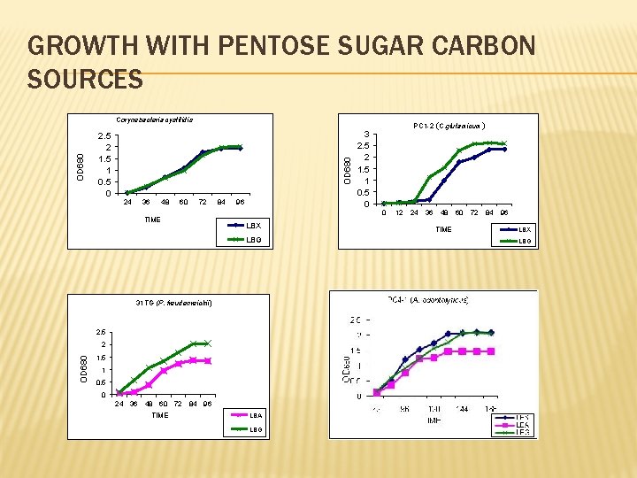 GROWTH WITH PENTOSE SUGAR CARBON SOURCES 2. 5 2 1. 5 1 0. 5