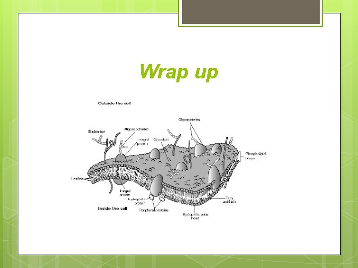 Wrap up Wrap up