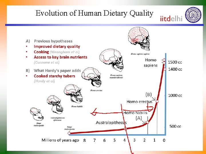 Evolution of Human Dietary Quality 