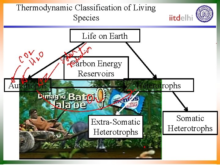 Thermodynamic Classification of Living Species Life on Earth Carbon Energy Reservoirs Autotrophs Heterotrophs Extra-Somatic