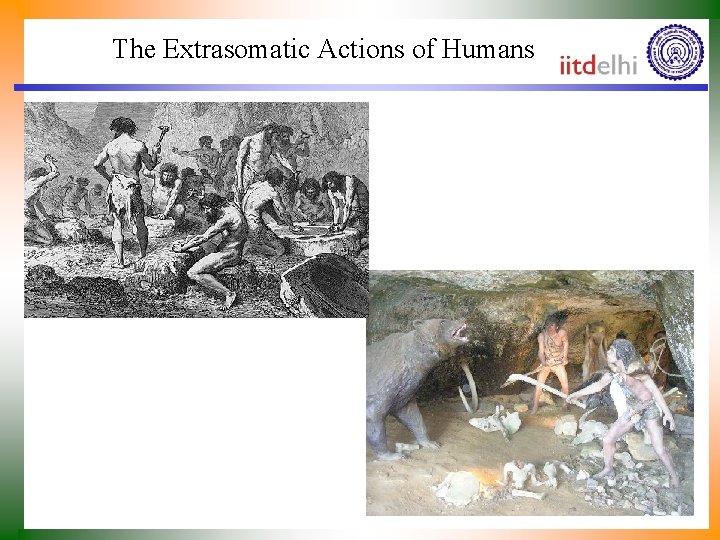 The Extrasomatic Actions of Humans 