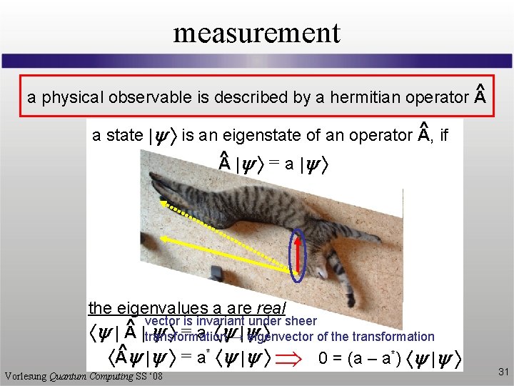 measurement ^ a physical observable is described by a hermitian operator A ^ if