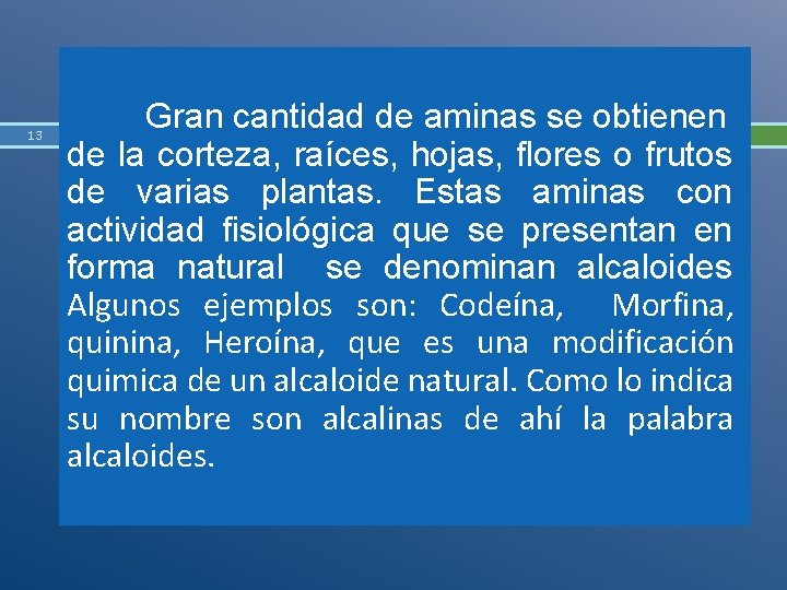 13 Gran cantidad de aminas se obtienen de la corteza, raíces, hojas, flores o