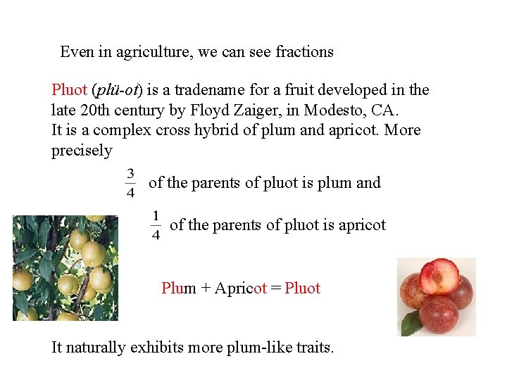 Even in agriculture, we can see fractions Pluot (plü-ot) is a tradename for a