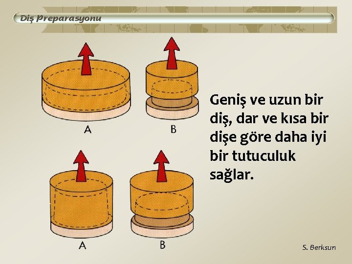 Geniş ve uzun bir diş, dar ve kısa bir dişe göre daha iyi bir
