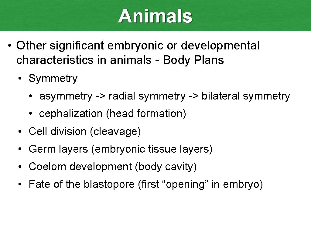 Animals • Other significant embryonic or developmental characteristics in animals - Body Plans •