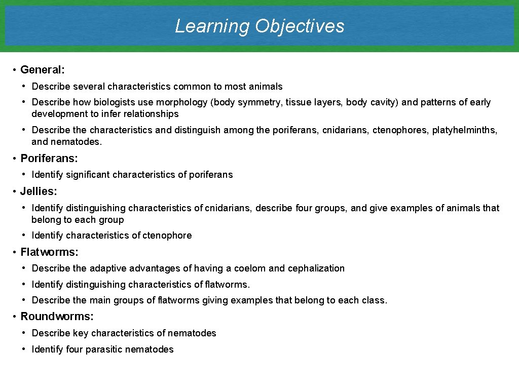Learning Objectives • General: • Describe several characteristics common to most animals • Describe
