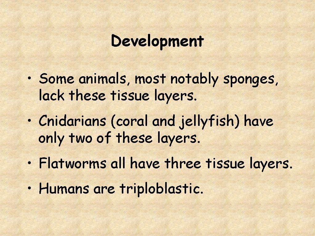 Development • Some animals, most notably sponges, lack these tissue layers. • Cnidarians (coral
