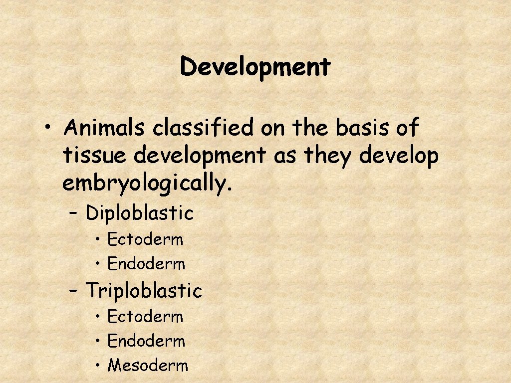 Development • Animals classified on the basis of tissue development as they develop embryologically.
