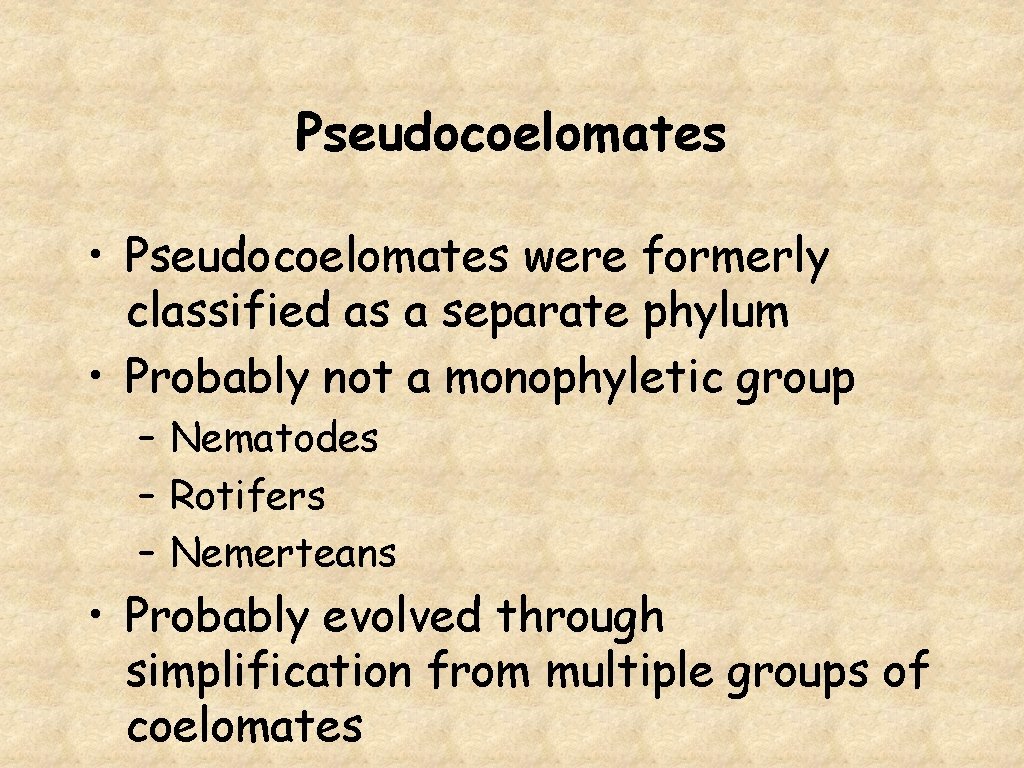 Pseudocoelomates • Pseudocoelomates were formerly classified as a separate phylum • Probably not a
