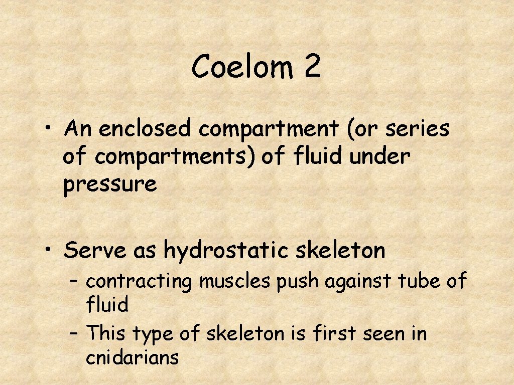 Coelom 2 • An enclosed compartment (or series of compartments) of fluid under pressure