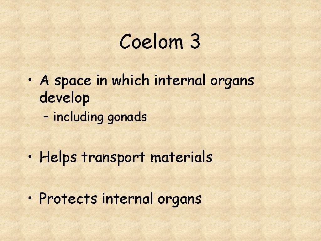 Coelom 3 • A space in which internal organs develop – including gonads •