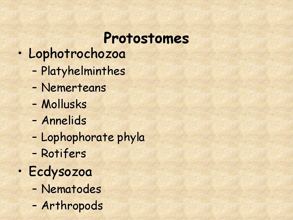 Protostomes • Lophotrochozoa – – – Platyhelminthes Nemerteans Mollusks Annelids Lophophorate phyla Rotifers •