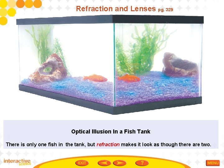 Refraction and Lenses pg. 329 Optical Illusion In a Fish Tank There is only
