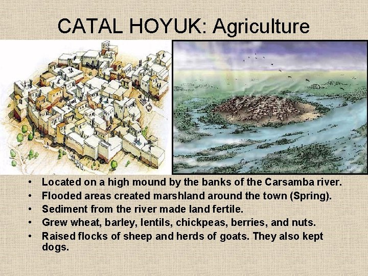 CATAL HOYUK: Agriculture • • • Located on a high mound by the banks