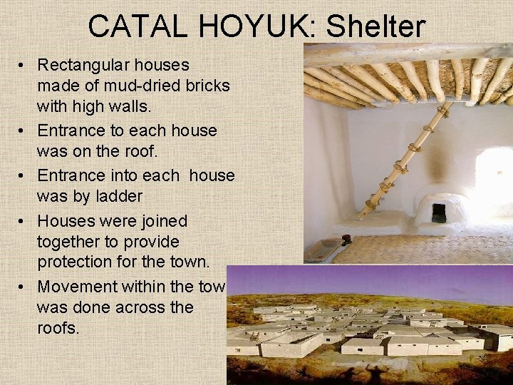 CATAL HOYUK: Shelter • Rectangular houses made of mud-dried bricks with high walls. •