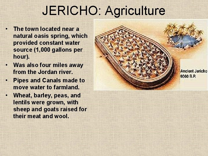 JERICHO: Agriculture • The town located near a natural oasis spring, which provided constant