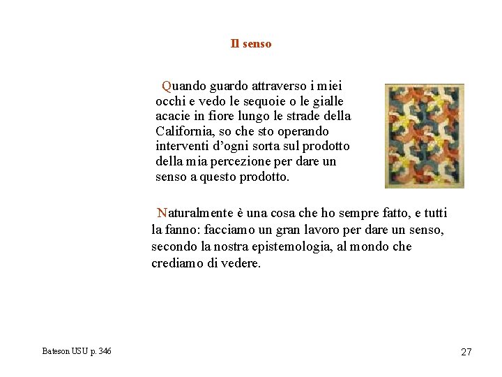Il senso Quando guardo attraverso i miei occhi e vedo le sequoie o le