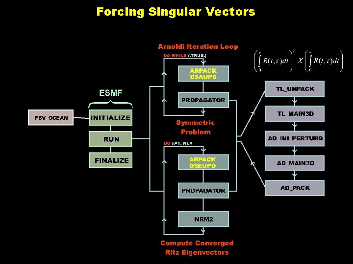 Forcing Singular Vectors 