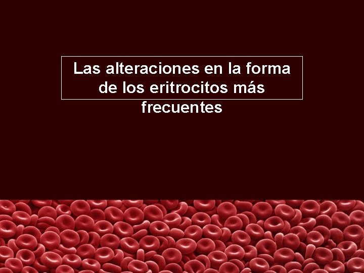 Las alteraciones en la forma de los eritrocitos más frecuentes 
