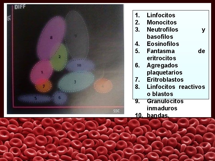 1. 2. 3. Linfocitos Monocitos Neutrofilos y basofilos 4. Eosinofilos 5. Fantasma de eritrocitos