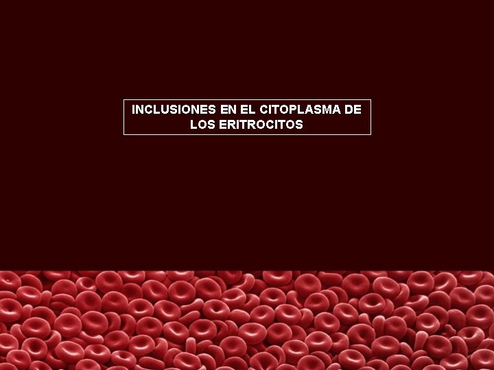 INCLUSIONES EN EL CITOPLASMA DE LOS ERITROCITOS 