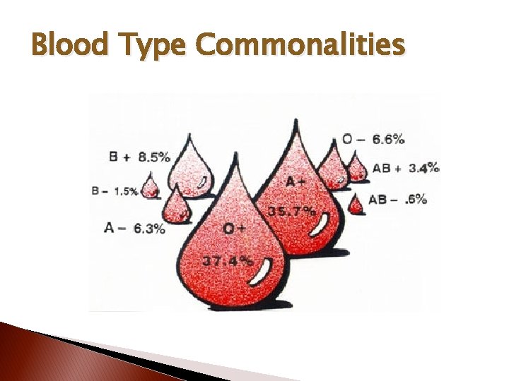 Blood Type Commonalities 