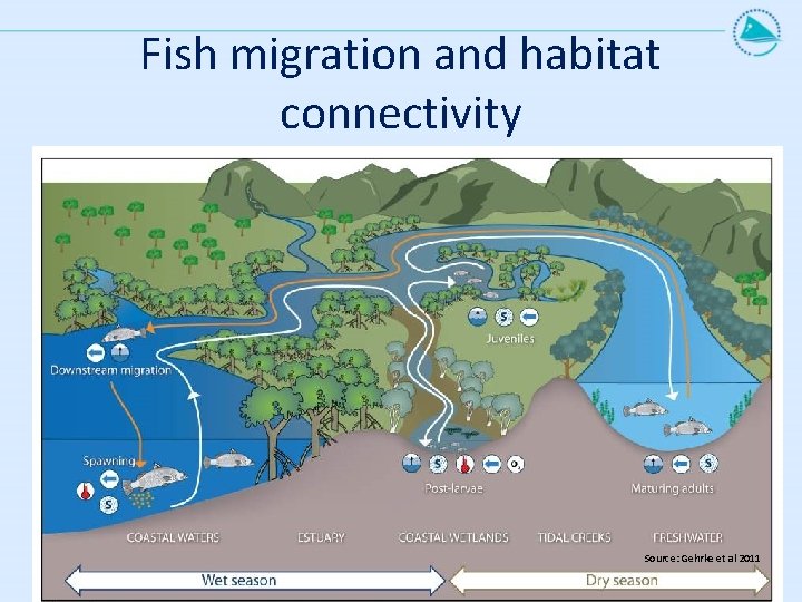 Fish migration and habitat connectivity Source: Gehrke et al 2011 